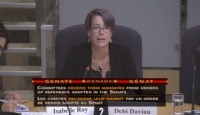 Debi Daviau témoignant devant un comité sénatoriale 