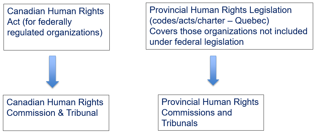 human-rights-legislation-chart-en.PNG