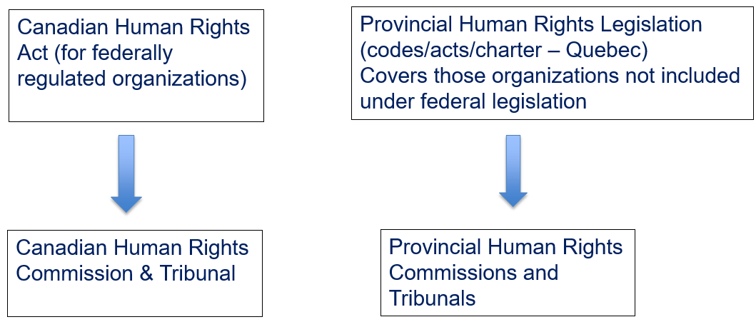 Valuing Human Rights And Diversity The Professional Institute Of The 