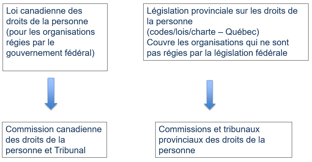 human-rights-legislation-chart-fr.PNG