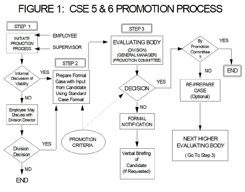 crpeg-figure1-cse5-6-promotion-process-en.jpg