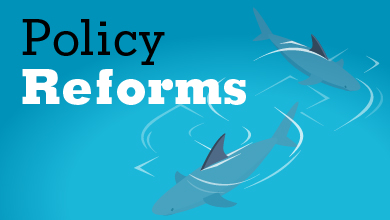 Policy Reforms