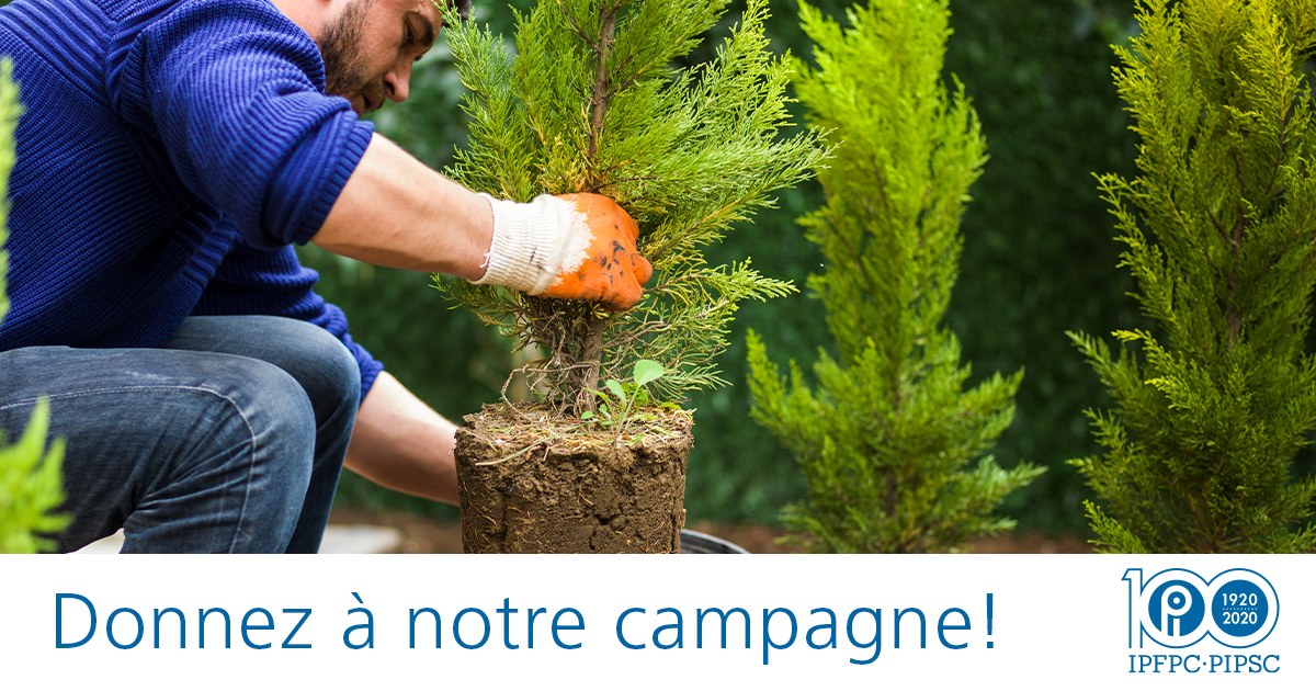 Faites Un Don à La Campagne De Plantation D’arbres Et De Conservation ...