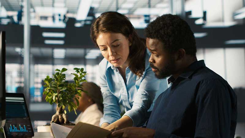Two colleagues looking at the report