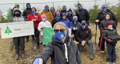 Activité de plantation d’arbres