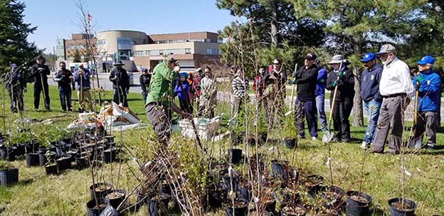 NCR tree planting near Queensway Carleton Hospital, Ottawa