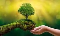 Go Green - Plant a Tree and get Oxygen for Free