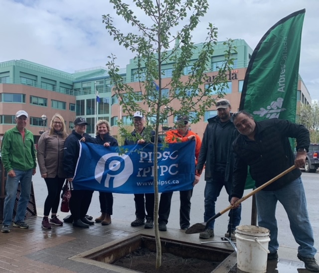 Whitehorse tree planting