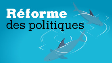 Réforme des politiques